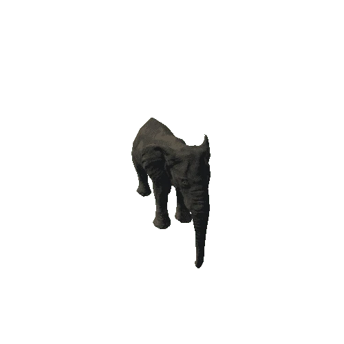 elephant_female_fv_rm_LP (mat4)